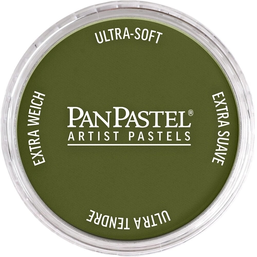 PanPastel Artists’ Suchý pastel 220.1 Hansa Yellow Extra Dark 1 ks