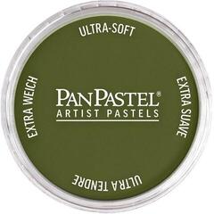 Soft Pastel PanPastel Artists’ Soft Pastel 220.1 Hansa Yellow Extra Dark 1 pc