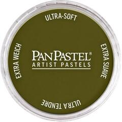 Suh pastel PanPastel Artists’ Suhi pastel 680.1 Bright Yellow Green Extra Dark 1 kos