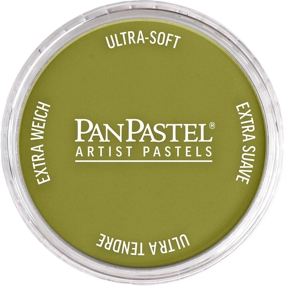 PanPastel Artists’ Suchý pastel 680.3 Bright Yellow Green Shade 1 ks