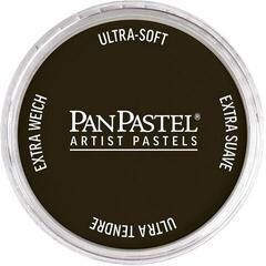 Suh pastel PanPastel Artists’ Suhi pastel 780.1 Raw Umber Extra Dark 1 kos
