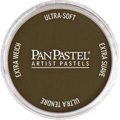 Droge pastel PanPastel Artists’ Droogpastel 780.5 Raw Umber 1 st.