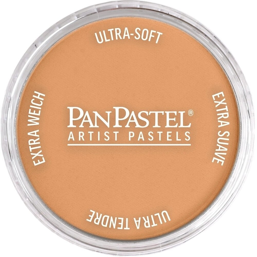 PanPastel Artists’ Suchý pastel 930.5 Bronze 1 ks