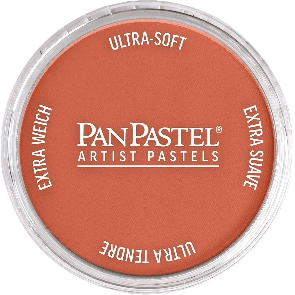 PanPastel Artists’ Suchý pastel 931.5 CoArtists’ Painting Pasteler 1 ks