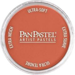 Soft Pastel PanPastel Artists’ Soft Pastel 931.5 CoArtists’ Painting Pasteler 1 pc