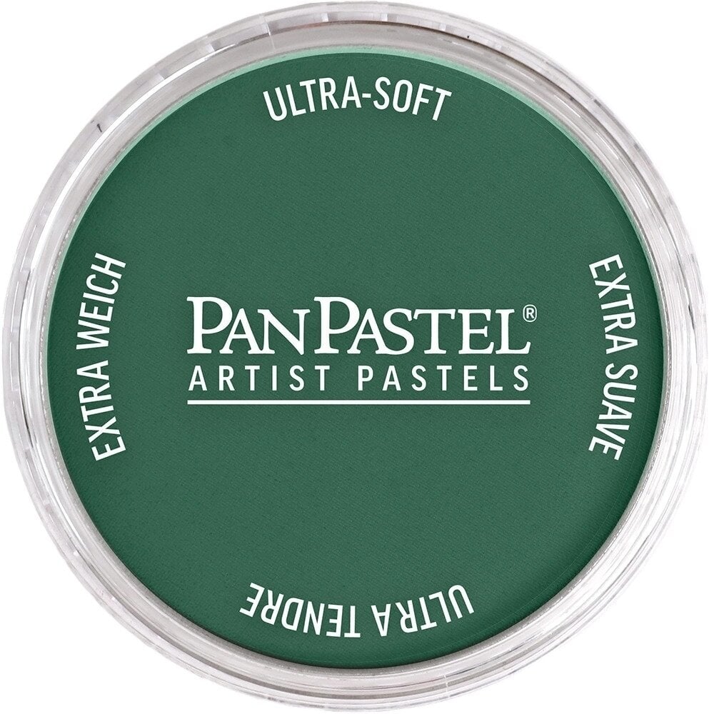 Pastel uscat PanPastel Artists’ Pastel uscat 580.1 Turquoise Extra Dark 1 buc.