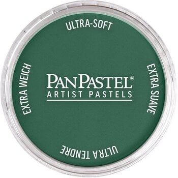 Pastel uscat PanPastel Artists’ Pastel uscat 580.1 Turquoise Extra Dark 1 buc. - 1