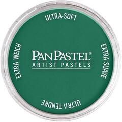 Soft Pastel PanPastel Artists’ Soft Pastel 620.3 Phthalo Green Shade 1 pc