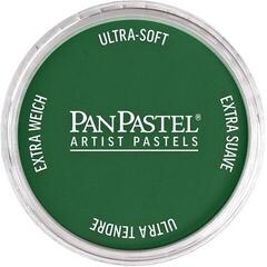 Suh pastel PanPastel Artists’ Suhi pastel 640.1 Permanent Green Extra Dark 1 kos