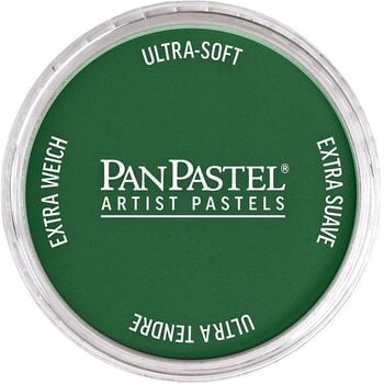 Suhi pastel PanPastel Artists’ Suhi pastel 640.1 Permanent Green Extra Dark 1 kom - 1