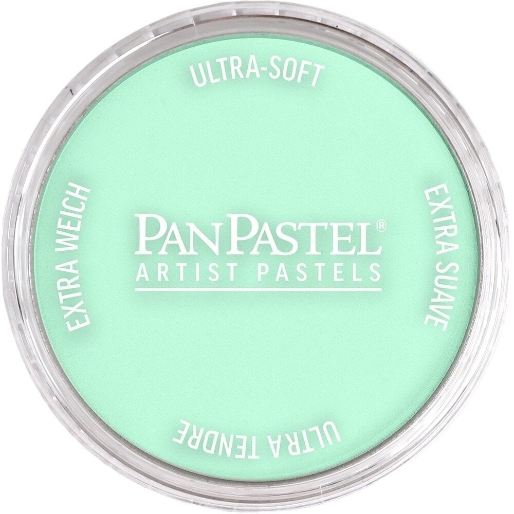 PanPastel Artists’ Suchý pastel 956.5 Pearlescent Green 1 ks