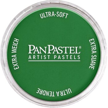 Suhi pastel PanPastel Artists’ Suhi pastel 640.3 Permanent Green Shade 1 kom - 1