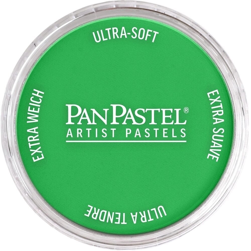 PanPastel Artists’ Suchý pastel 640.5 Permanent Green 1 ks