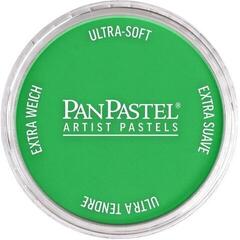 Trockenes Pastell PanPastel Artists’ Trockenpastell 640.5 Permanent Green 1 stk