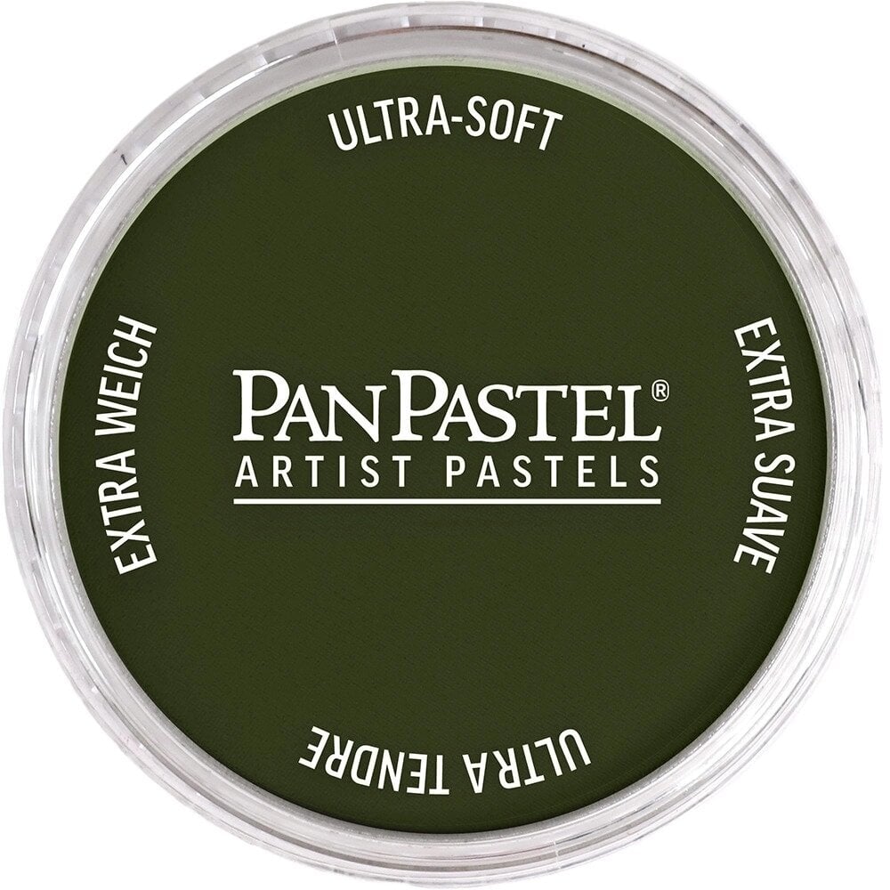 PanPastel Artists’ Suchý pastel 660.3 Chromium Oxide Green Shade 1 ks