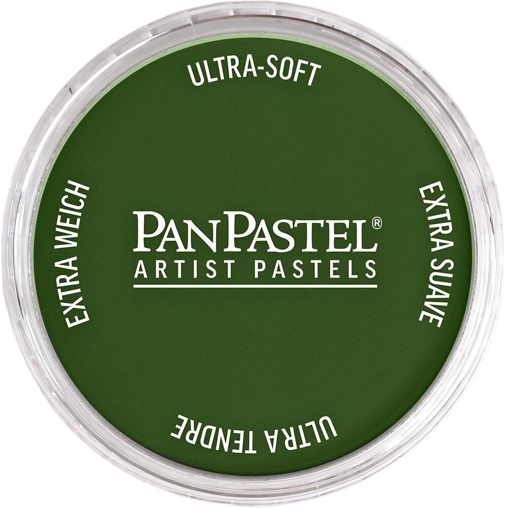 PanPastel Artists’ Suchý pastel 660.5 Chromium Oxide Green 1 ks