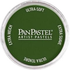 Droge pastel PanPastel Artists’ Droogpastel 660.5 Chromium Oxide Green 1 stuk