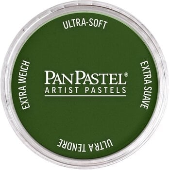 Suhi pastel PanPastel Artists’ Suhi pastel 660.5 Chromium Oxide Green 1 kom - 1