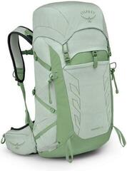 Lifestyle Backpack / Bag Osprey Tempest Backpack Frosty Mint Green/Botanica 33 L