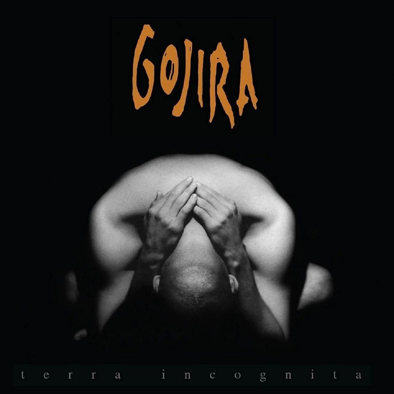 Muzički CD Gojira - Terra Incognita (CD)