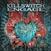LP platňa Killswitch Engage -  The End of Heartache (Solid Silver & Black Coloured) (2 LP)