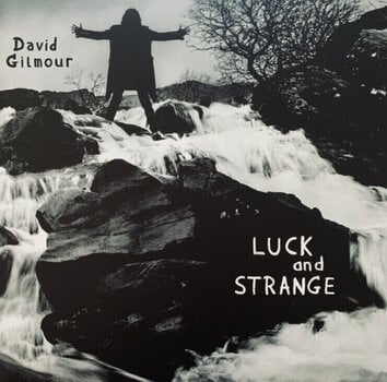 Disc de vinil David Gilmour - Luck And Strange (Orange Crush Coloured) (LP) - 1