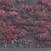 LP deska Sleep Token - Even In Arcadia (2 LP)