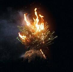 Glazbene CD Elevation Worship - Can You Imagine (CD)