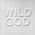 Glasbene CD Nick Cave & The Bad Seeds - Wild God (CD)