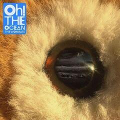 LP platňa The Wombats - Oh The Ocean (Indie Exclusive) (Clear Coloured) (LP)