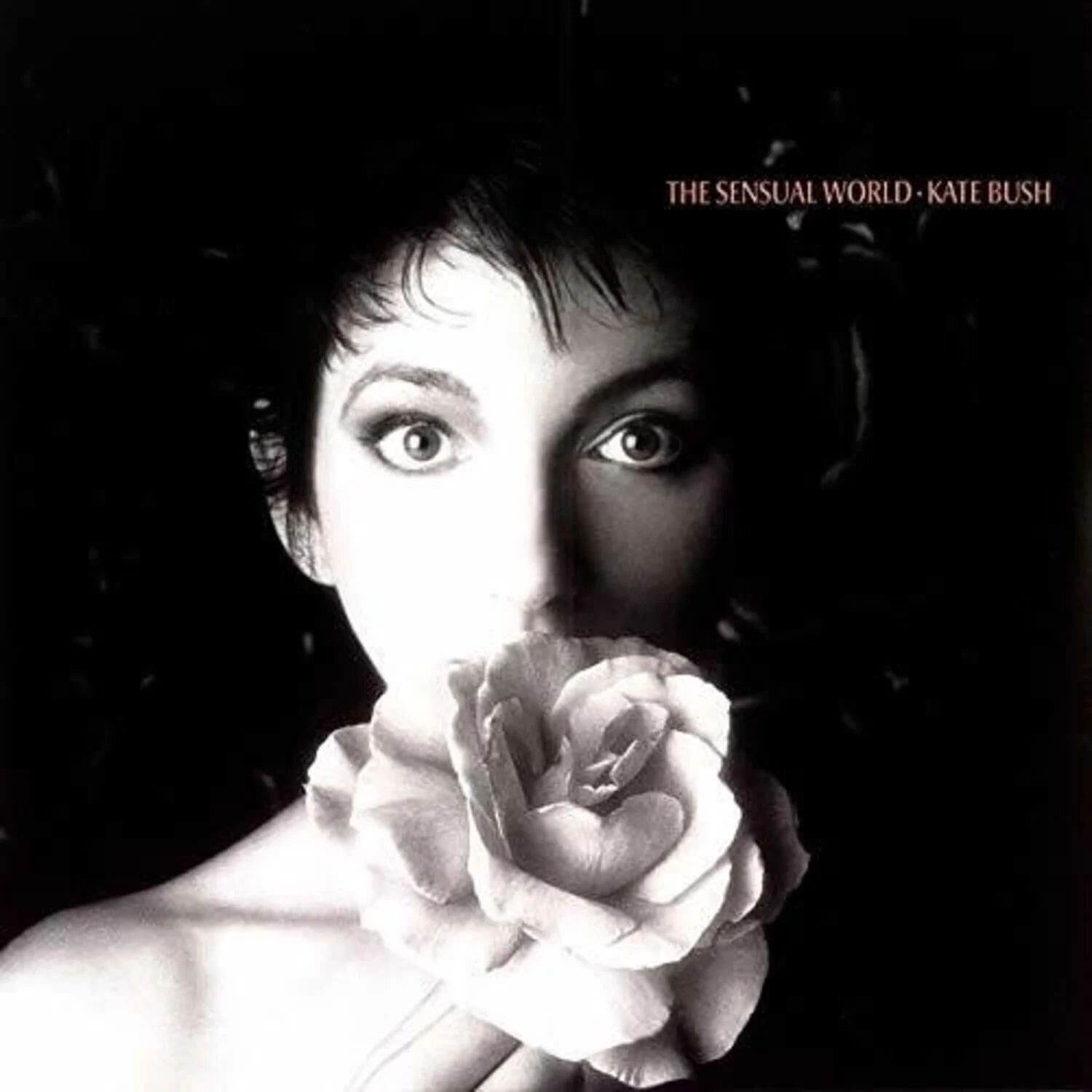 LP Kate Bush - Sensual World (180 g) (Indie Exclusive) (Remastered) (Ash Grey Coloured) (LP)