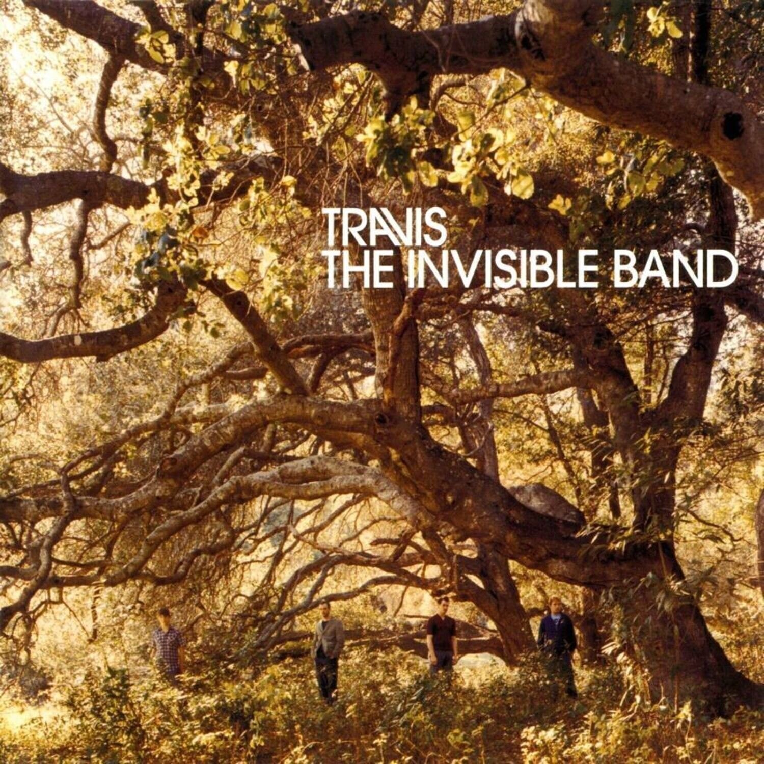 LP ploča Travis - Invisible Band (Indie Exclusive) (Anniversary Edition) (Remastered) (Forest Green Coloured) (LP)