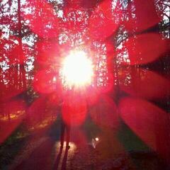 Vinüülplaat Russian Circles - Empros (Indie Exclusive) (Clear With Red, Silver & Magenta Splatter Coloured) (LP)