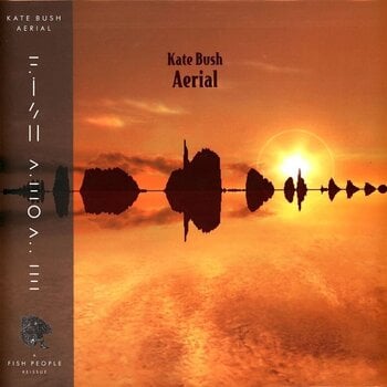 Disc de vinil Kate Bush - Aerial (180 g) (Remastered) (Indie Exclusive) (Gold / Orange Coloured) (2 LP) - 1