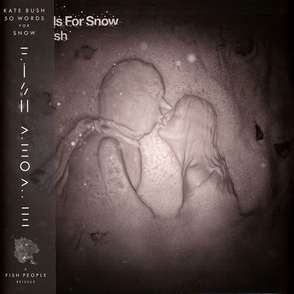 LP ploča Kate Bush - 50 Words For Snow (180 g) (Remastered) (Indie Exclusive) (Snowy White Coloured) (2 LP)