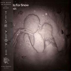 Disc de vinil Kate Bush - 50 Words For Snow (180 g) (Remastered) (Indie Exclusive) (Snowy White Coloured) (2 LP)