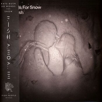 LP ploča Kate Bush - 50 Words For Snow (180 g) (Remastered) (Indie Exclusive) (Snowy White Coloured) (2 LP) - 1