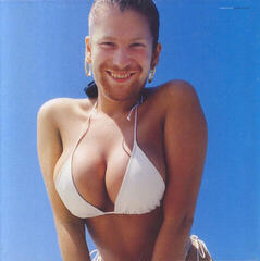 Δίσκος LP Aphex Twin - Windowlicker (LP)