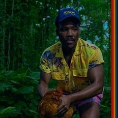 LP deska Childish Gambino - Bando Stone and the New World (2 LP)