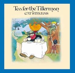 Schallplatte Cat Stevens - Tea For The Tillerman (Reissue) (Remastered) (140 g) (LP)