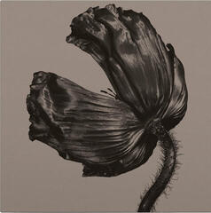 Vinyylilevy Pet Shop Boys - Release (Remastered) (LP)