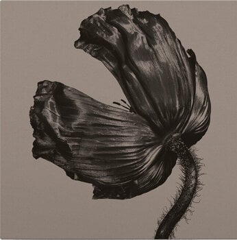 LP ploča Pet Shop Boys - Release (Remastered) (LP) - 1