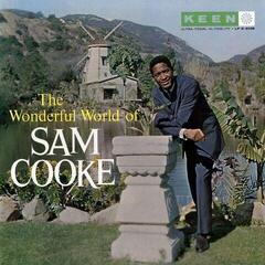 Schallplatte Sam Cooke - The Wonderful World Of Sam Cooke (180 g) (LP)
