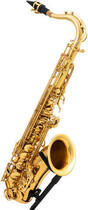 Latone LTS 600 Classic Gold Saxophones ténors (Comme neuf)