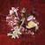 Music CD PinkPantheress - Fancy That (Standard) (CD)