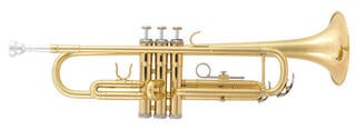 Bb Trumpet Latone LTR 500 Classic Gold Bb Trumpet