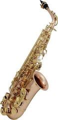Saxofón alto Roy Benson AS-202G Saxofón alto