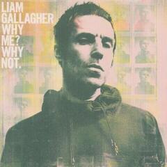 Muzyczne CD Liam Gallagher - Why Me? Why Not. (CD)