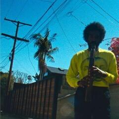 Vinyl Record André 3000 - Moving Day (LP)