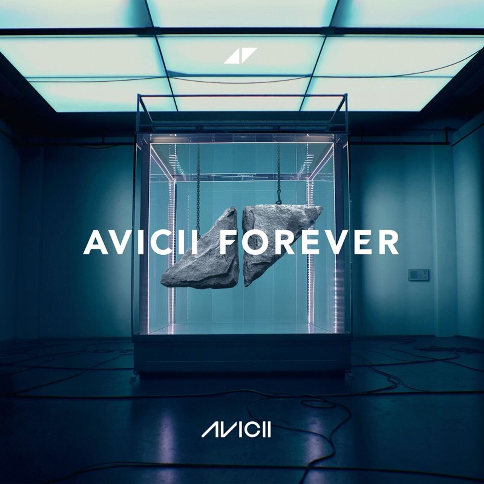 Vinyl Record Avicii - Forever (2 LP)